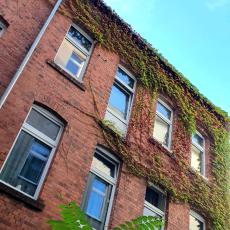 Freiraum Hostel Kreuzberg