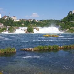 Fewo Near Rheinfall