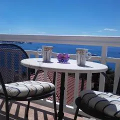 Apartments Zunic