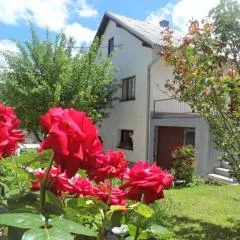 Guest House Olbina