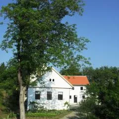 Alte Mühle Kaisersdorf