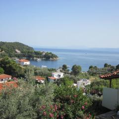 Kolios View
