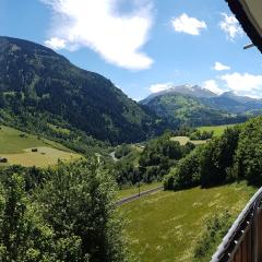 Apartment in Disentis