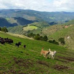 Hotel Rural Yeguada Albeitar