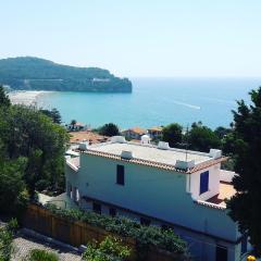 Il Giardino dei Lauri