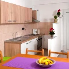 Apartment Kraljević
