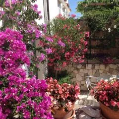 Apartments Villa Ina