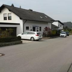 Ferienwohnung am sonnigen Hang