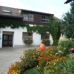 Ferienhof-Fink-Ferienwohnung-Sonnenblume