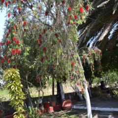 House Souzanna