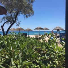 Appartement I Cardellini