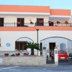 B&B Minerva