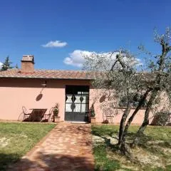 Agriturismo Il Loghino