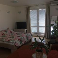 Apartment Praha 4