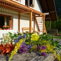 Bovec Home At Three Samoyeds