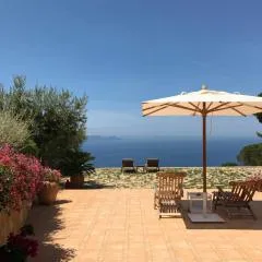 Stella d'Argento