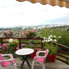 Les Terrasses de Bellemoure Cébazat