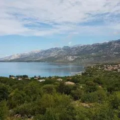Maša