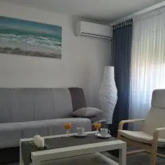 Studio apartman Toplica