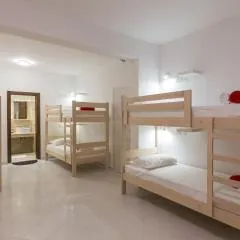 Hostel Free Bird