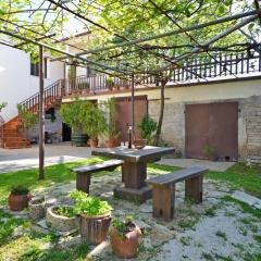 Apartment Srblin
