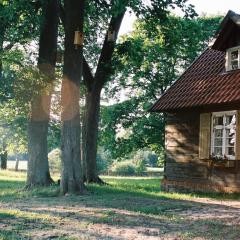 Leśne Apartamenty w Borach Tucholskich