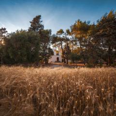 Masseria Fracchicchi