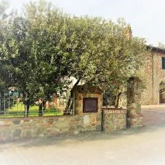 Agriturismo Podere dei kiwi
