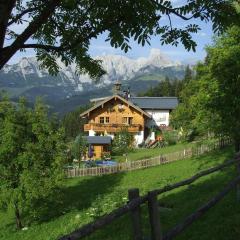 Fesengut