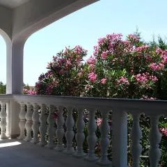 Apartment Robić