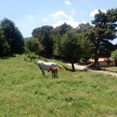 Agriturismo Bosco Pianetti