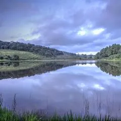 Pavetta Country House