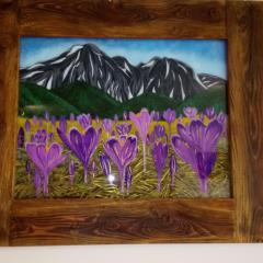 Apartament Krokus SPA