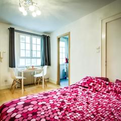 Nice and fonctional Studio in City Center