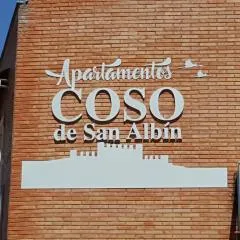 Apartamentos Coso de San Albin