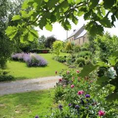 Au Jardin Des Violettes