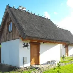 Domki przy lesie