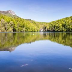 Hostal l'Avet Blau