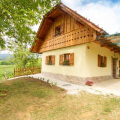 Country House Srček with Two Bedrooms and Vineyard View
