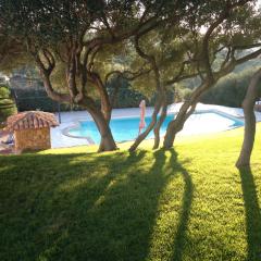 Country Domos Tramentu