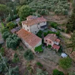 Orto dei Bruchi