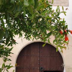 Casa de la Placeta del Rincón