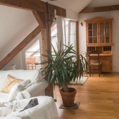 Private Apartment & Hannover City Altstadt