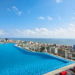 シナモン レッド コロンボ（Cinnamon Red Colombo）