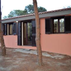 Pineta Spiaggia Grande 2