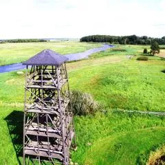 Wieża nad Biebrzą