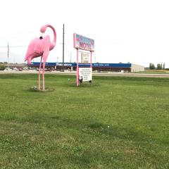Flamingo Motel Marshalltown