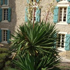 Domaine Saint Andrieu