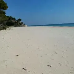 Mare a Santa Margherita