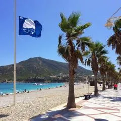 Fin Albir Playa
